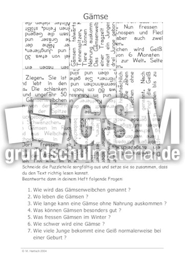 Gämse.pdf